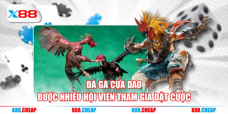Đá gà cựa dao được nhiều hội viên tham gia đặt cược