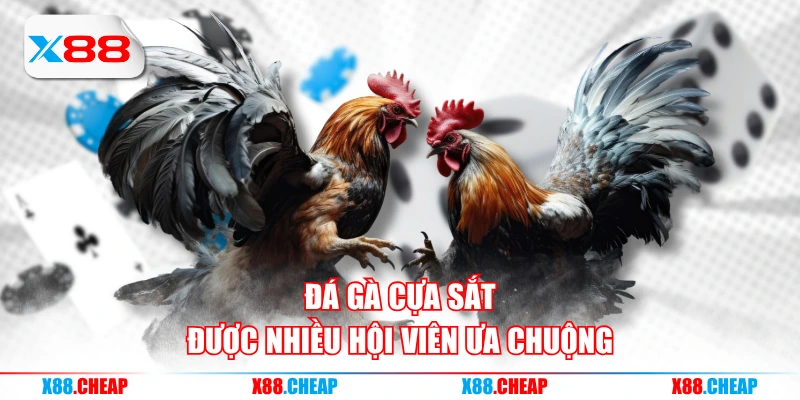 Đá gà cựa sắt được nhiều hội viên ưa chuộng